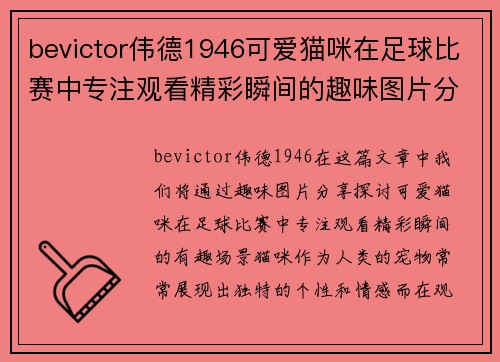 bevictor伟德1946可爱猫咪在足球比赛中专注观看精彩瞬间的趣味图片分享